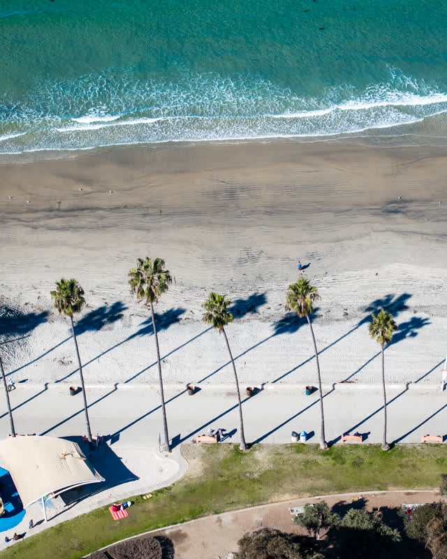 Aerial view of the beach, the surf and palm trees at La Jolla Shores, with people walking.