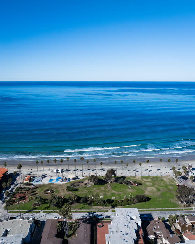 Aerial view of the beach, the surf and palm trees at La Jolla Shores, with people walking.