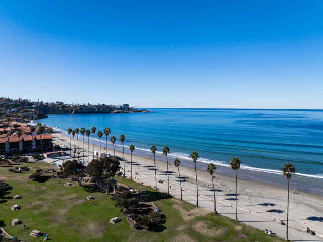 Aerial view of the beach, palm trees and the ocean at La Jolla Shores, with people walking.