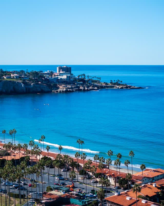 Aerial view of the beach, palm trees and the ocean at La Jolla Cove.