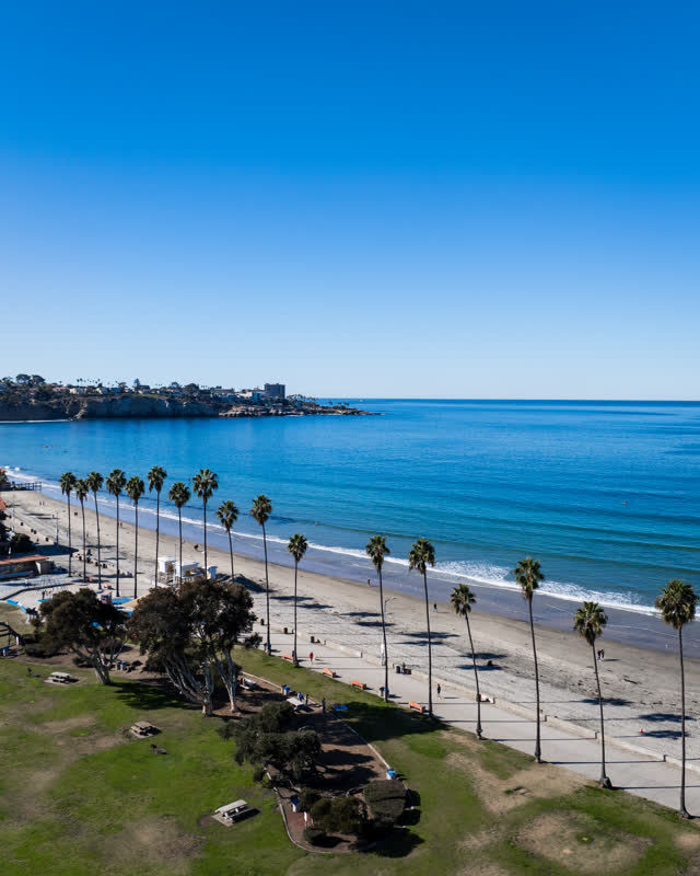 Aerial view of the beach, the surf and palm trees at La Jolla Shores, with people walking.