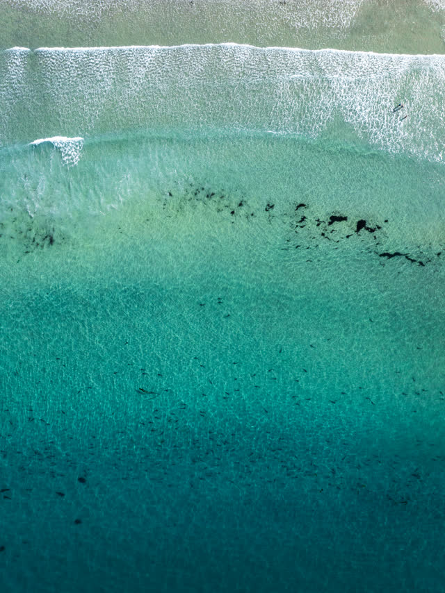 Aerial shot over La Jolla Shores and the Leopard Sharks | Drone Photo – 11
