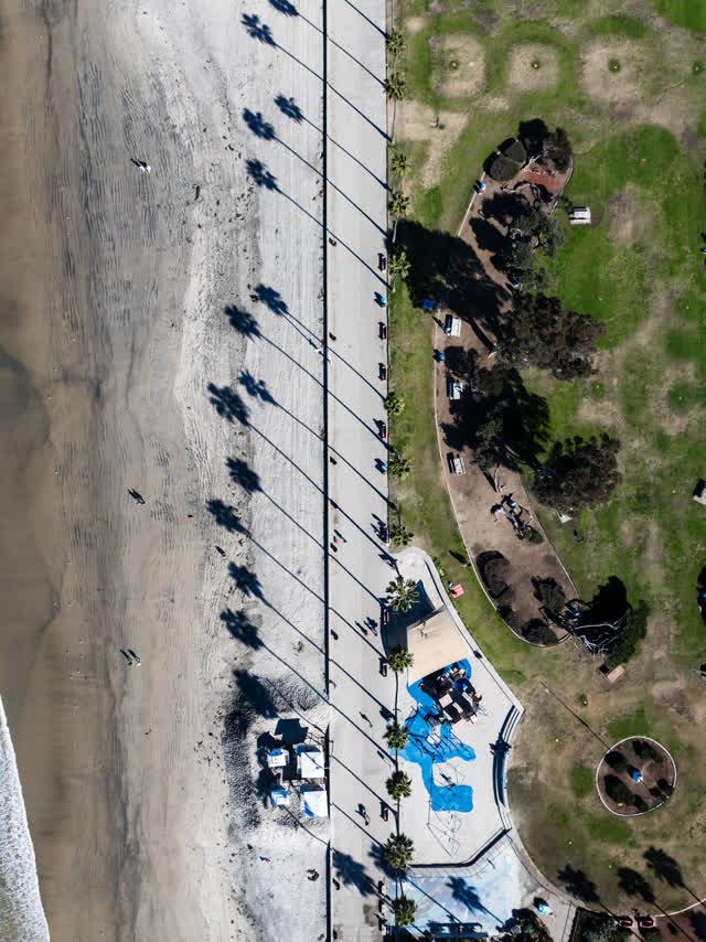 Aerial view of the beach, palm trees and the ocean at La Jolla Shores, with people walking.