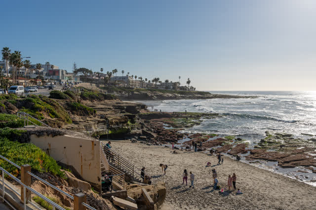 Elevated view of the beach, the surf and palm trees at La Jolla Cove, with people walking.
