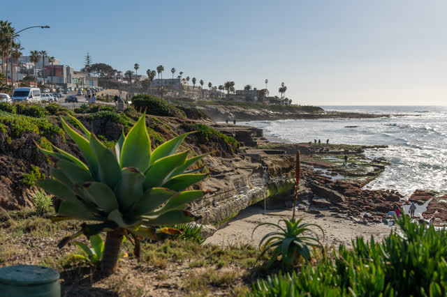 Elevated view of the cliffs, palm trees and the ocean at La Jolla Cove, with people walking.