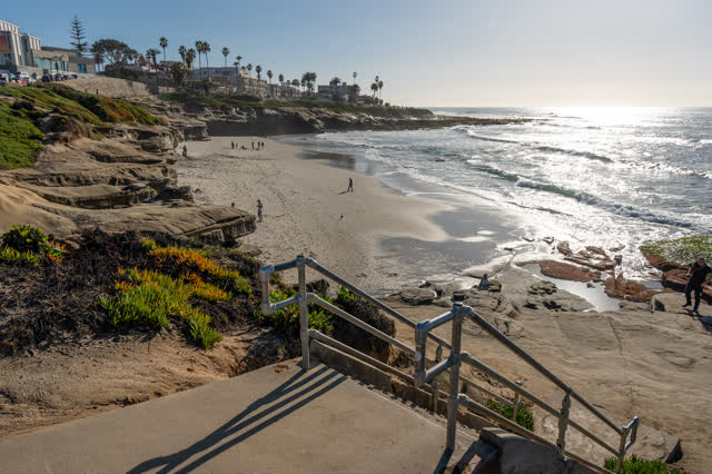 Elevated view of the beach, the surf and palm trees at La Jolla Cove, with people walking.