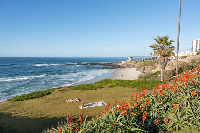 Elevated view of the cliffs, palm trees and the ocean at La Jolla Cove, with people walking.