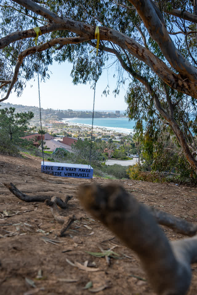 Elevated view of the cliffs, palm trees and the ocean at La Jolla Shores.