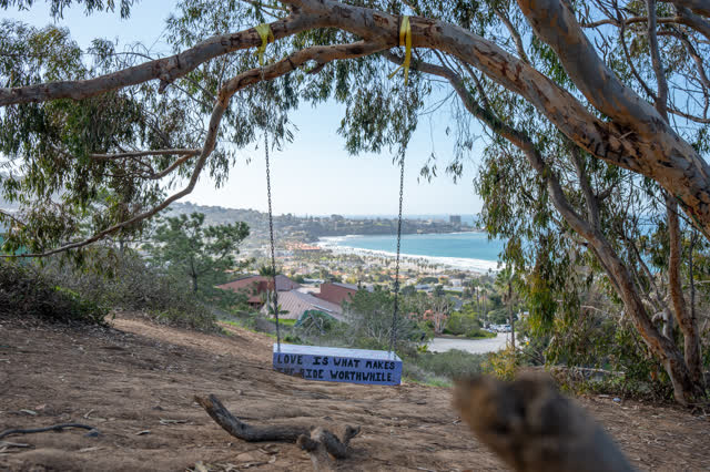 Elevated view of the cliffs, palm trees and the ocean at La Jolla Shores.
