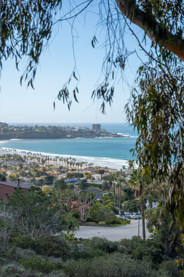 The secret swing by Birch Aquarium at Scripps Institution of
