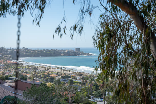 Elevated view of the cliffs, palm trees and the ocean at La Jolla Shores.