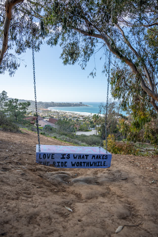 Elevated view of the cliffs, palm trees and the ocean at La Jolla Shores.
