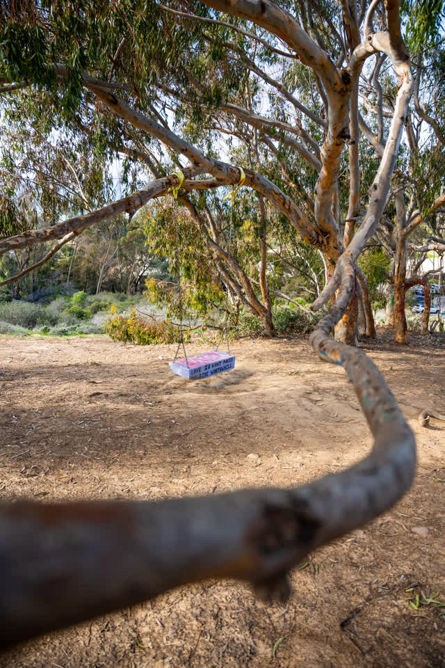 A park and open country at La Jolla Shores.