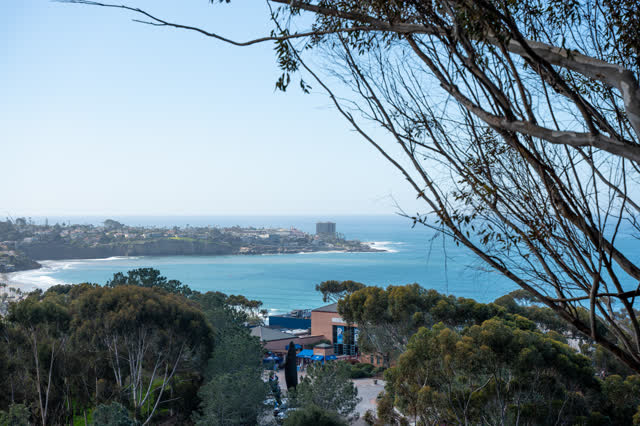 Elevated view of the cliffs, palm trees and the ocean at La Jolla Shores.