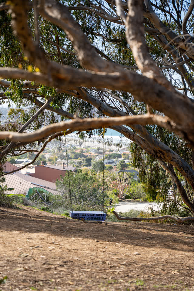 Elevated view of a residential street, palm trees and the ocean at La Jolla Shores.