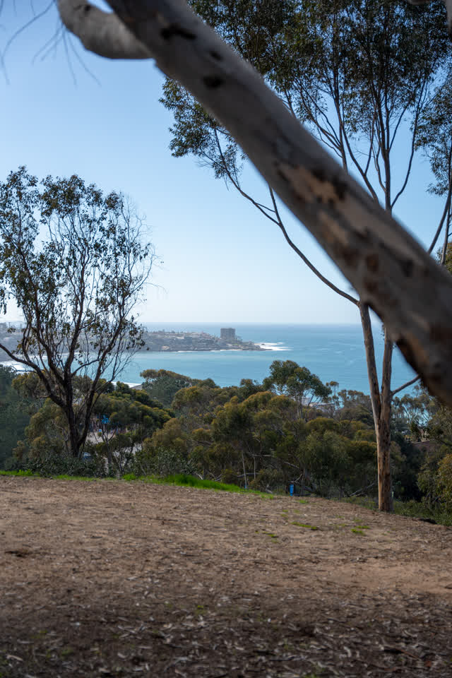 Elevated view of the cliffs, the ocean and open country at La Jolla Shores.