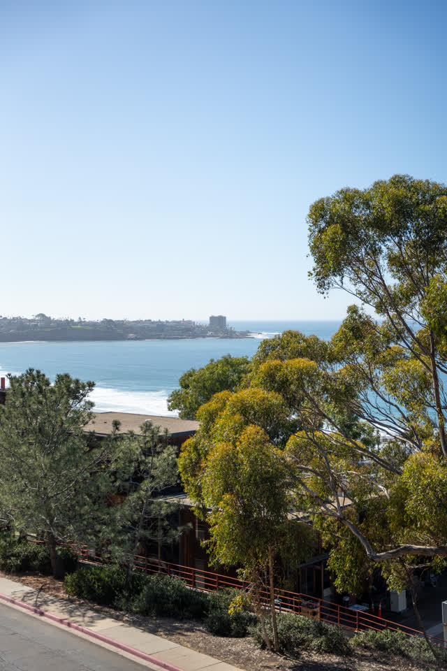 Elevated view of the cliffs, the ocean and homes at La Jolla Shores.