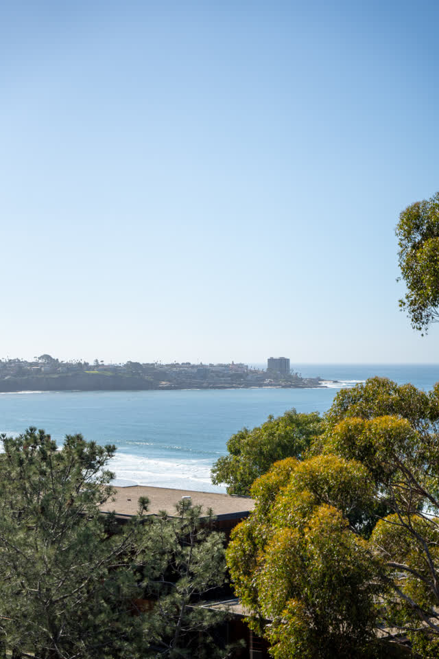 Elevated view of the cliffs, palm trees and the ocean at La Jolla Shores.
