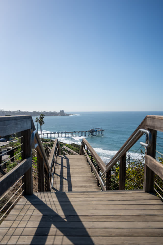 Elevated view of the cliffs, the pier and palm trees at La Jolla Shores.