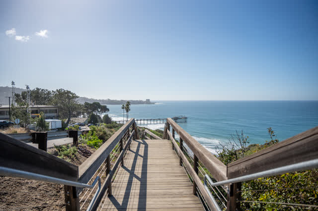 Elevated view of the cliffs, the pier and palm trees at La Jolla Shores.