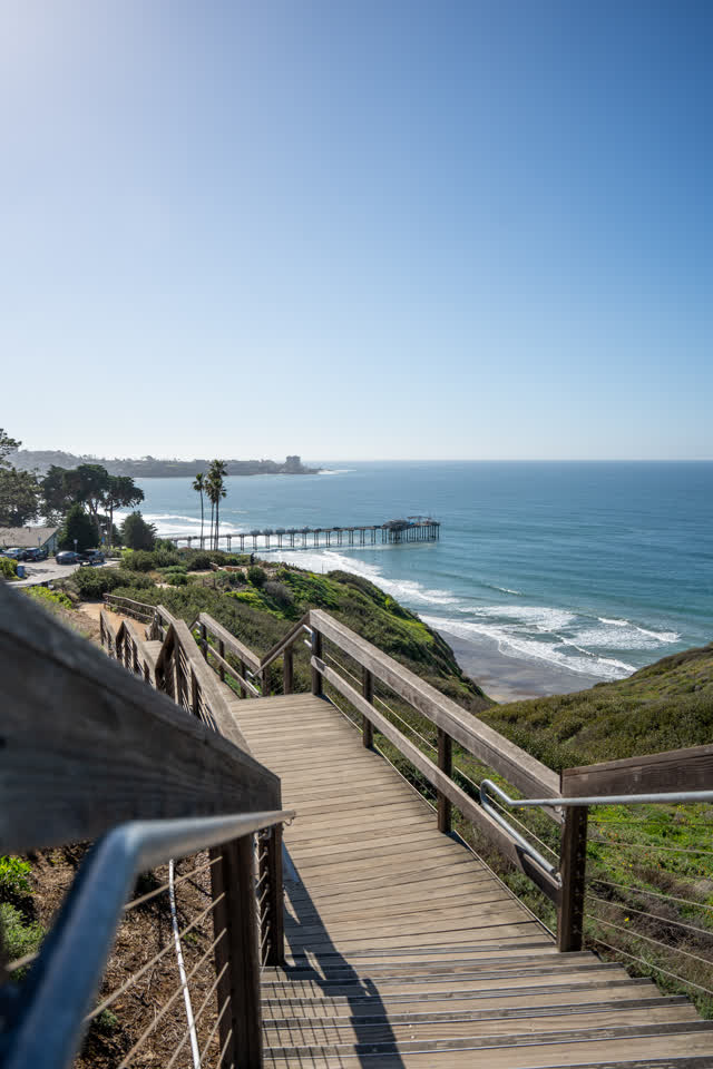 Elevated view of the cliffs, the pier and palm trees at La Jolla Shores.