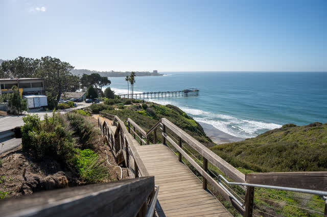 Elevated view of the cliffs, the pier and palm trees at La Jolla Shores.