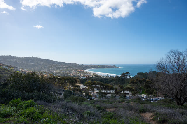 Elevated view of the cliffs, the ocean and homes at La Jolla Shores.