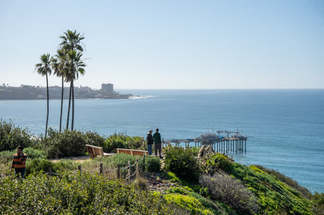 Elevated view of the cliffs, the pier and palm trees at La Jolla Shores, with people walking.