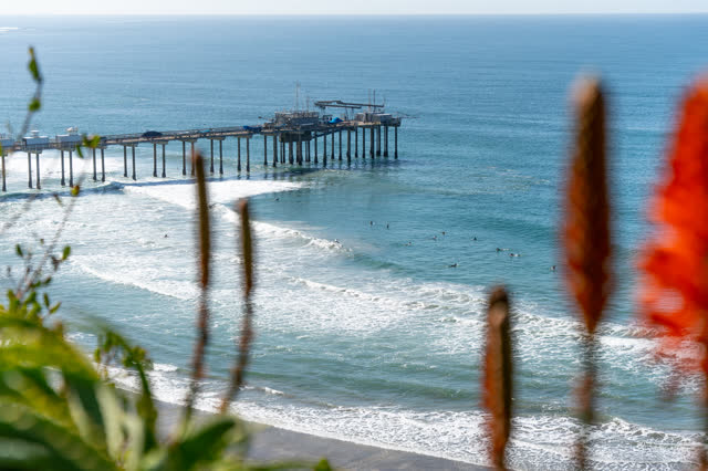Elevated view of the cliffs, the surf and the pier at La Jolla Shores, with surfers out.