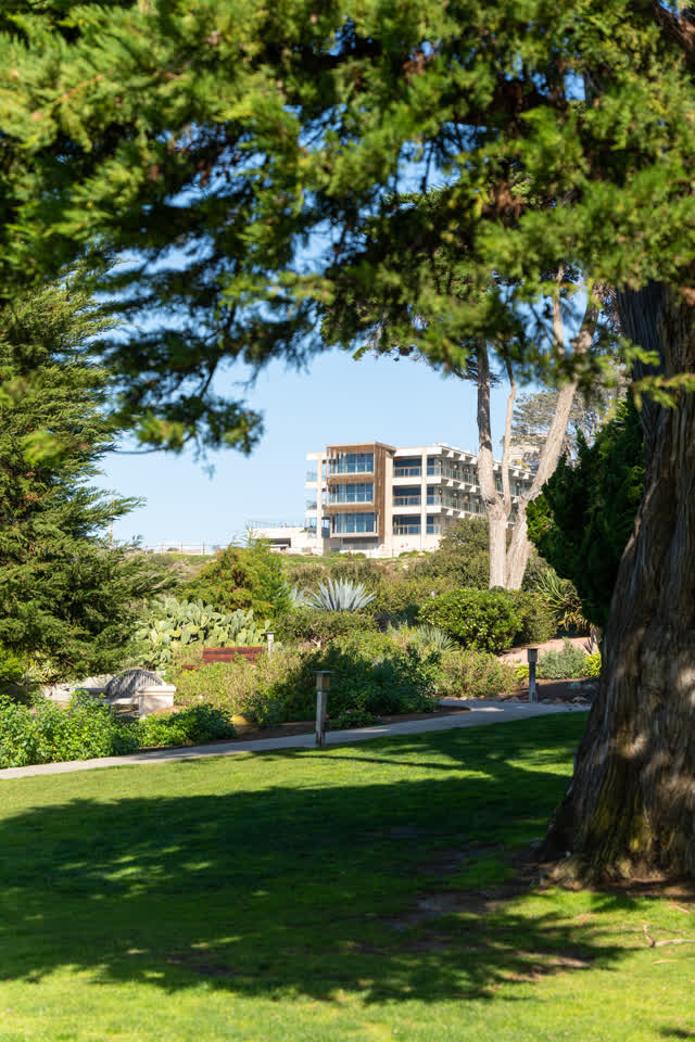 A park, palm trees and the buildings at La Jolla Shores.