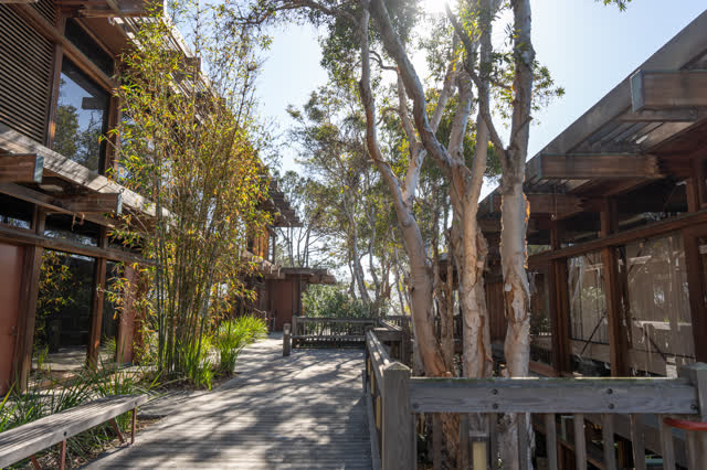 The country inland, palm trees and the buildings at La Jolla Shores.