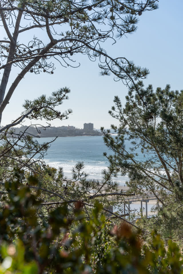 Elevated view of the cliffs, the pier and the ocean at La Jolla Shores.
