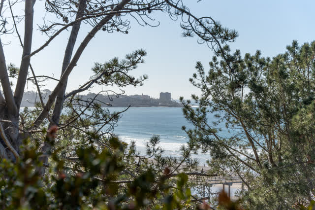 Elevated view of the cliffs, the surf and the pier at La Jolla Shores.