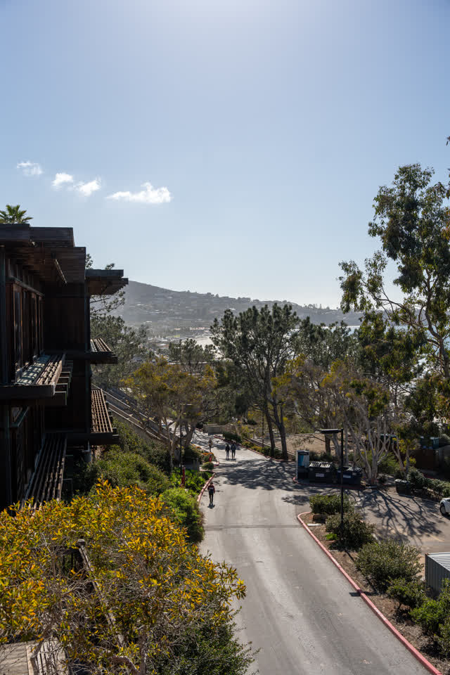 Elevated view of a residential street, palm trees and homes at La Jolla Shores, with people walking.
