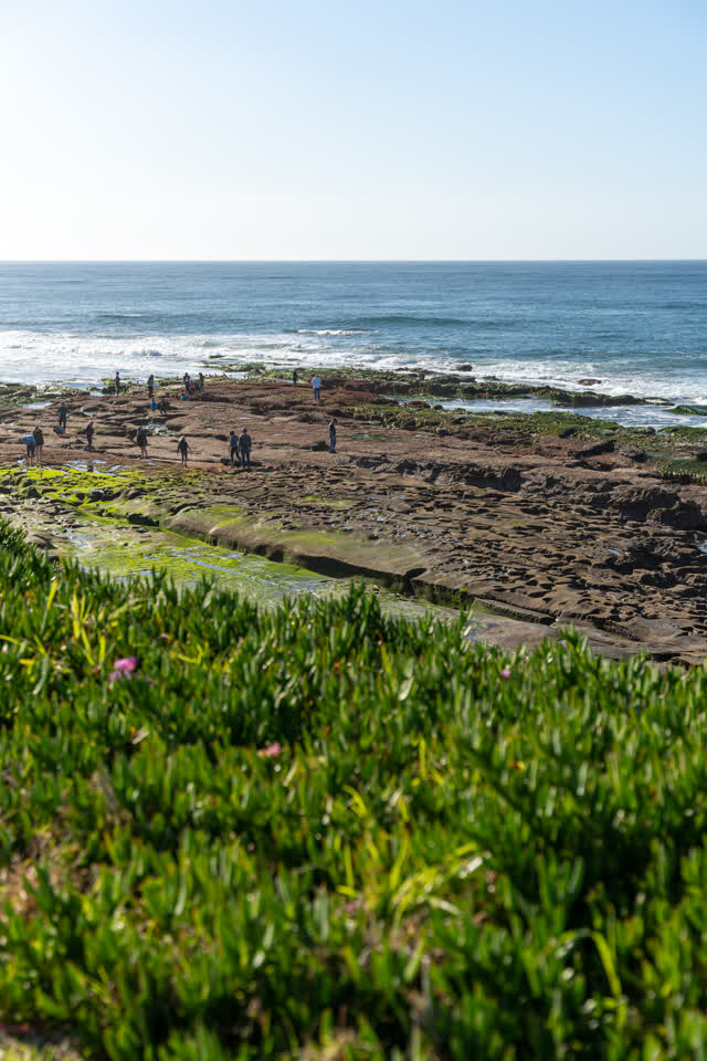 Elevated view of the cliffs, the surf and the ocean at La Jolla Cove, with people walking.