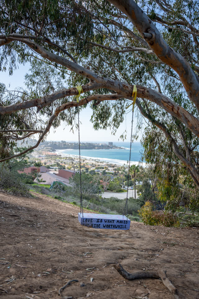 Elevated view of the cliffs, palm trees and the ocean at La Jolla Shores.