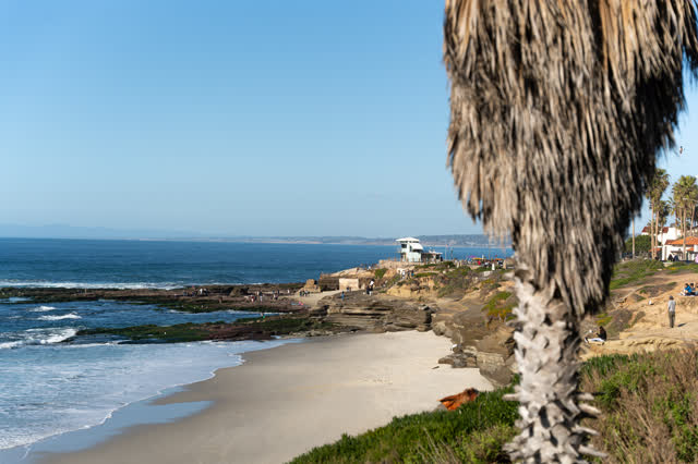 Elevated view of the beach, palm trees and the ocean at La Jolla Cove, with people walking.