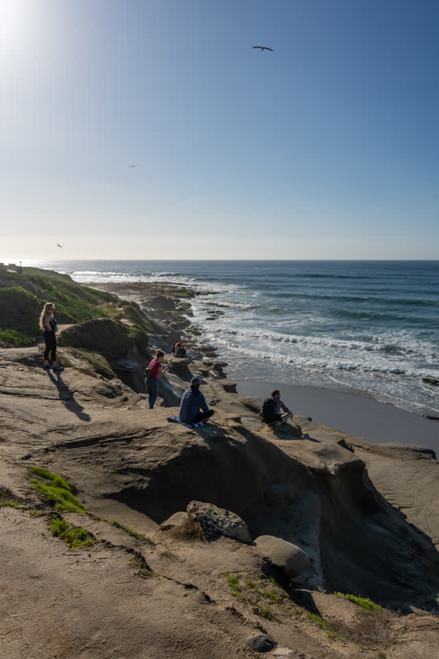 Elevated view of the cliffs, the surf and wildlife at La Jolla Cove, with a crowd gathered.