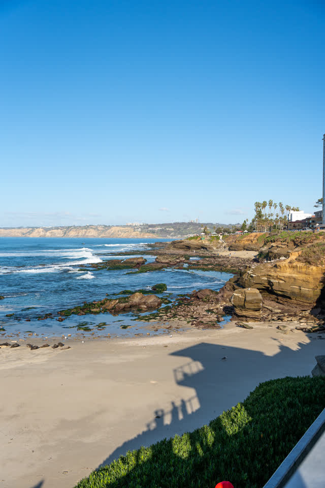 Elevated view of the beach, palm trees and the ocean at La Jolla Cove.