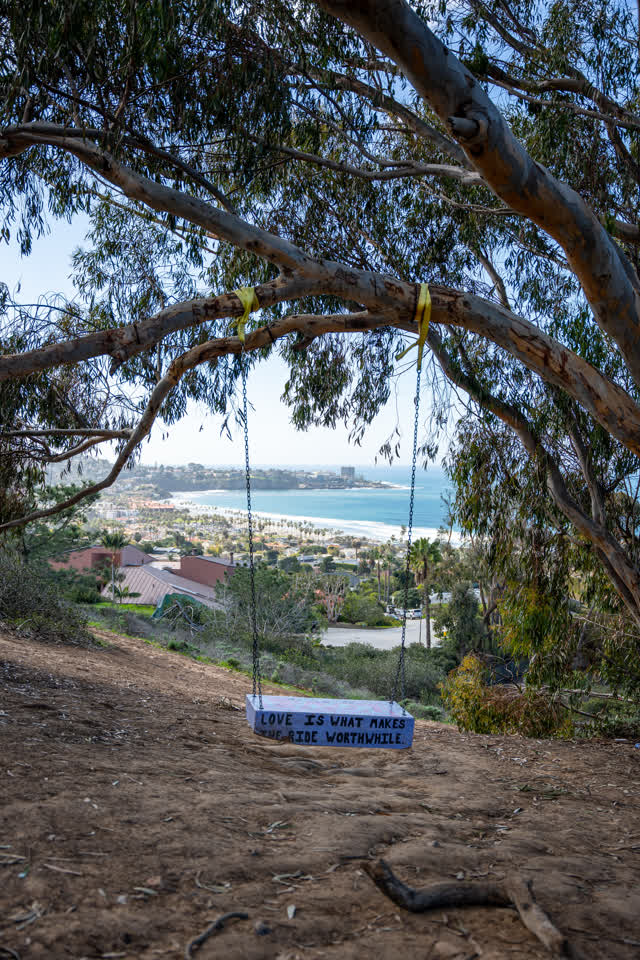 Elevated view of the cliffs, palm trees and the ocean at La Jolla Shores.