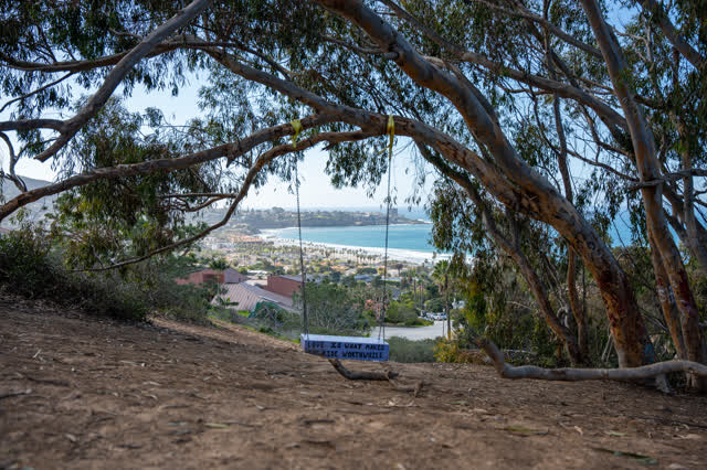 Elevated view of the cliffs, palm trees and the ocean at La Jolla Shores.