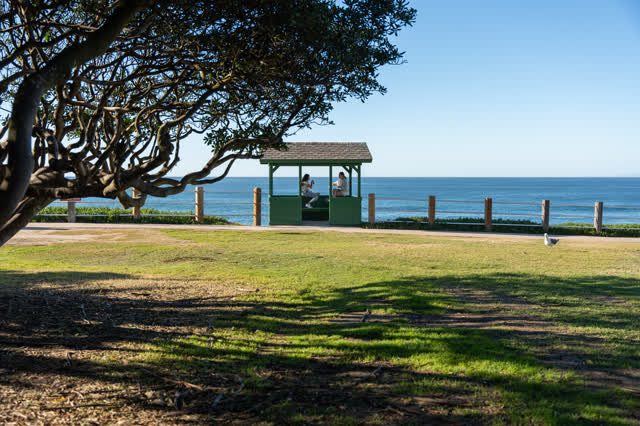 Ellen Browning Scripps Park in La Jolla Overlooking La Jolla Cove in San Diego | Photo