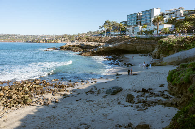 La Jolla Cove and the Sea life on a beautiful San Diego Day | Photo – 7