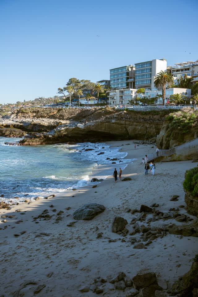 Elevated view of the beach, palm trees and the ocean at La Jolla Cove, with people walking.