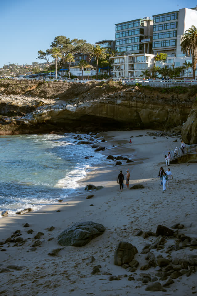 Elevated view of the beach, the surf and wildlife at La Jolla Cove, with people walking.