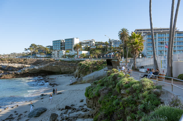 La Jolla Cove and the Sea life on a beautiful San Diego Day | Photo – 10
