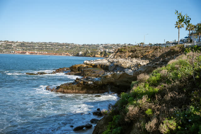 Elevated view of the cliffs, the surf and wildlife at La Jolla Cove.