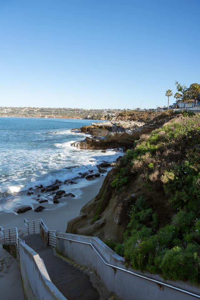 Elevated view of the cliffs, the surf and palm trees at La Jolla Cove.