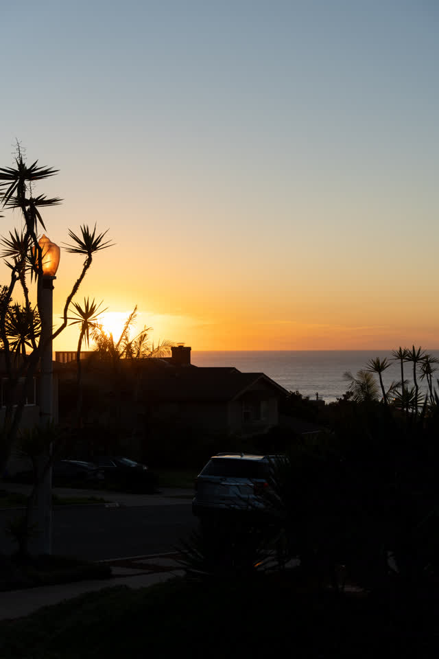Elevated view of a residential street, palm trees and the ocean at Sunset Cliffs.