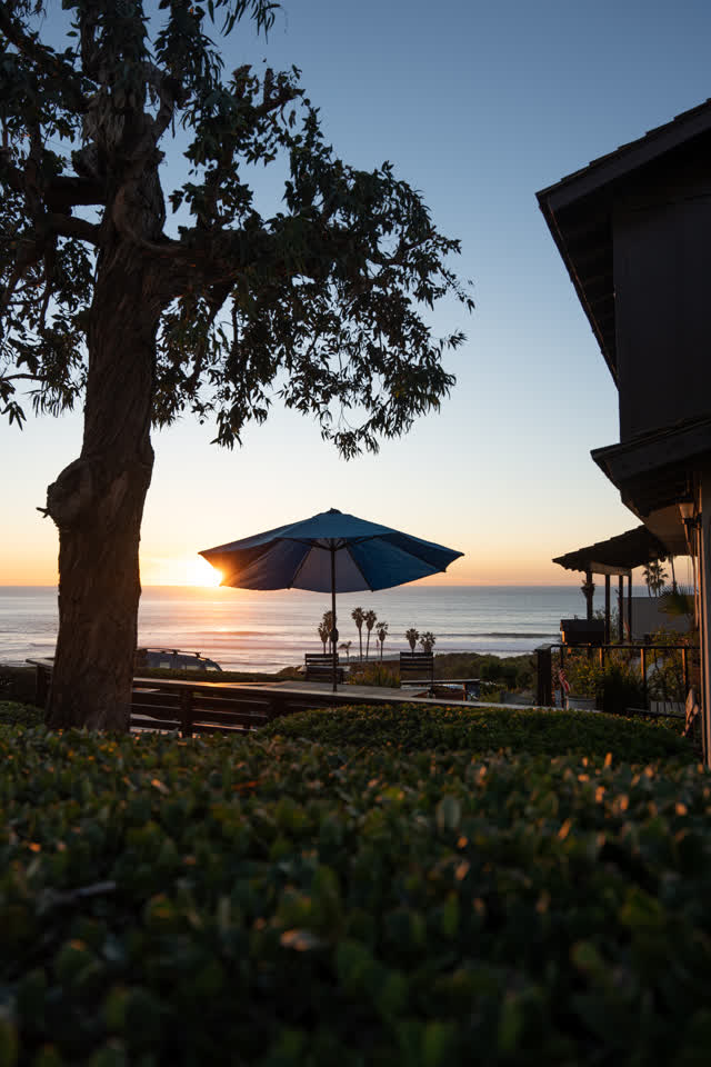 A residential street, palm trees and the ocean at Sunset Cliffs.